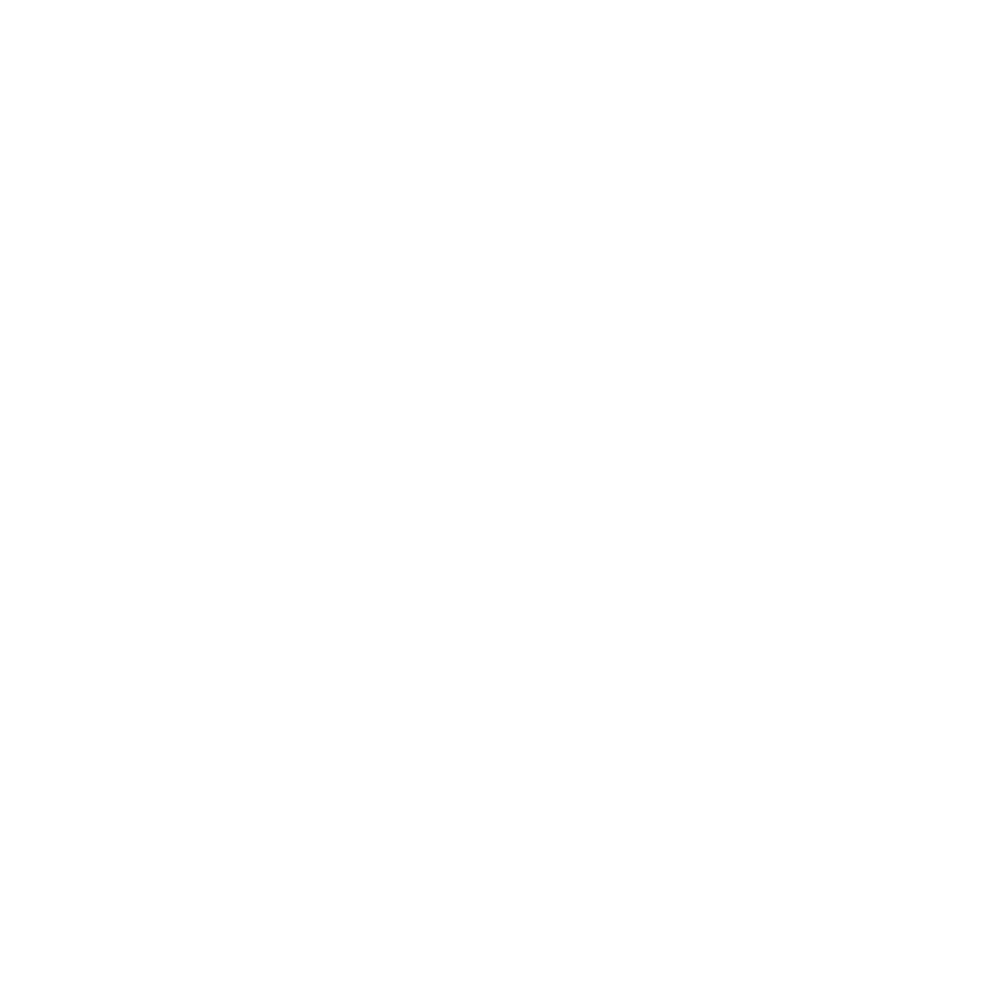 steam